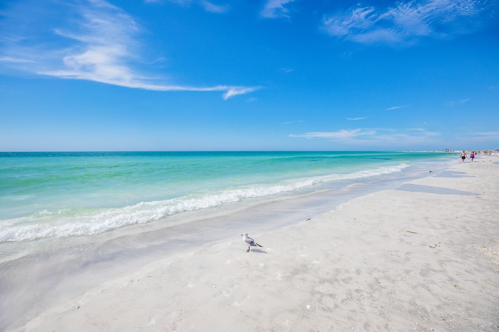 SAINT ARMANDS DIV JOHN RINGLING ESTATES - Land