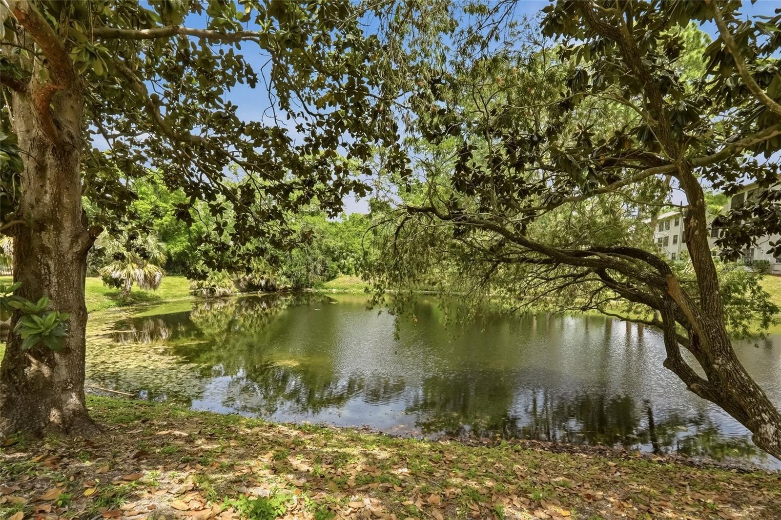 NORTHWOOD ESTATES-TR C - Residential