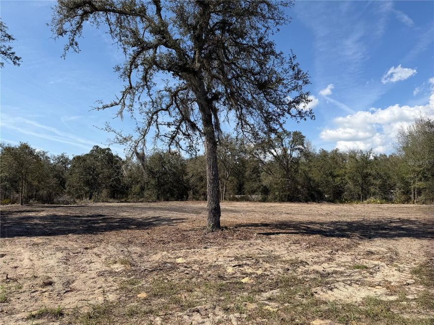 Build your dream home on this beautiful 1.36 acre cleared lot in Bronson! Situated on a paved road in desirable Levy County, this property is ready for your site built home, manufactured home, or barndominium. Enjoy the benefits of lower county taxes and utilities while still having plenty of space to spread out and create your ideal country retreat. Conveniently located just a short drive from Gainesville, you’ll have quick access to shopping, dining, and medical facilities while still enjoying the peaceful, quiet surroundings of rural living. Whether you're looking to build now or invest for the future, this versatile parcel offers the perfect blend of convenience and tranquility.