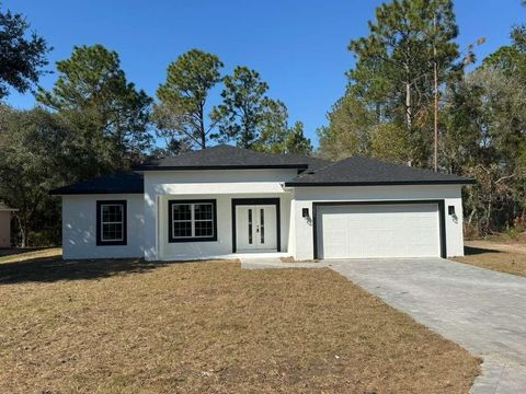 Photo of 3095 W Fairbank Drive, Citrus Springs, FL 34433 (MLS # O6359040)