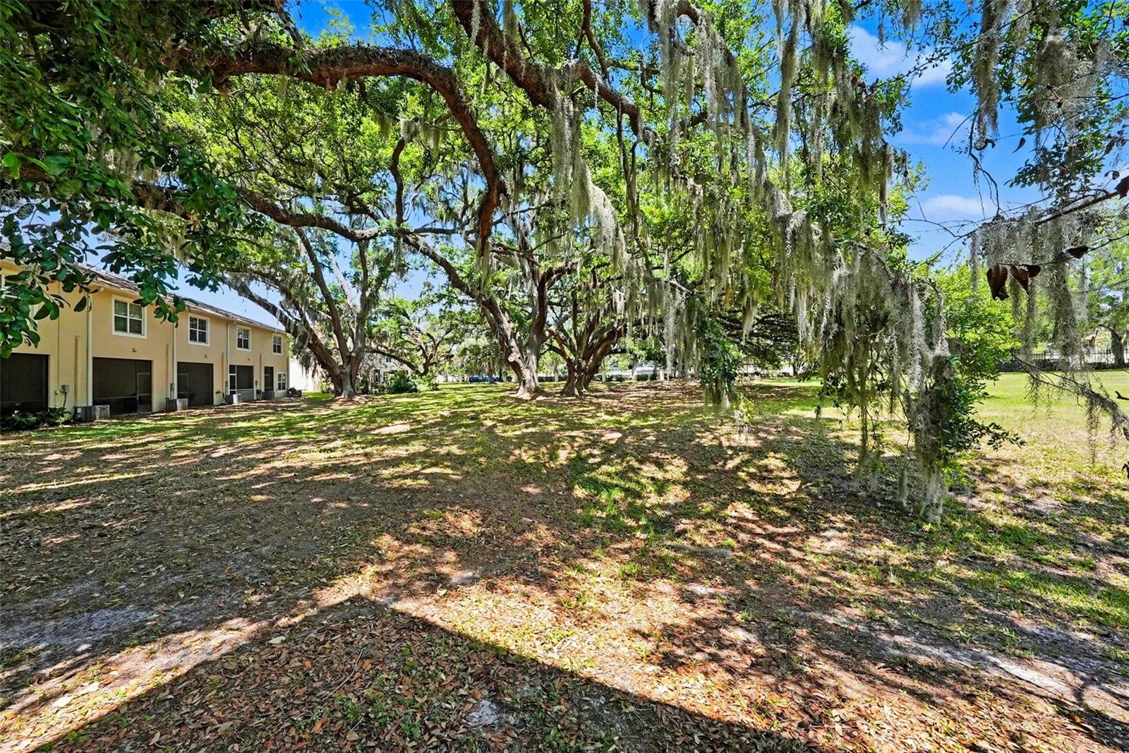 MEADOW POINTE 03 PRCL UU - Residential