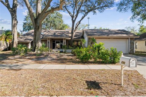 A home in PALM HARBOR