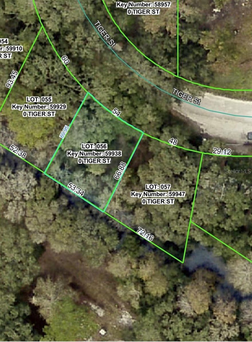 This .10 acre parcel that is the easement for the power lines. Zoned R1A. You cannot build on it...but you can play on it and use it for your enjoyment. Best buyer is a home-owner whose lot adjoins it or hold it for possible future investment.
The power company must have access to it at all times for maintenance. Cash only. The property is being transferred with a quit claim deed with no owner's title policy, and if the buyer wants any other deed or title policy, they have to pay for those closing costs