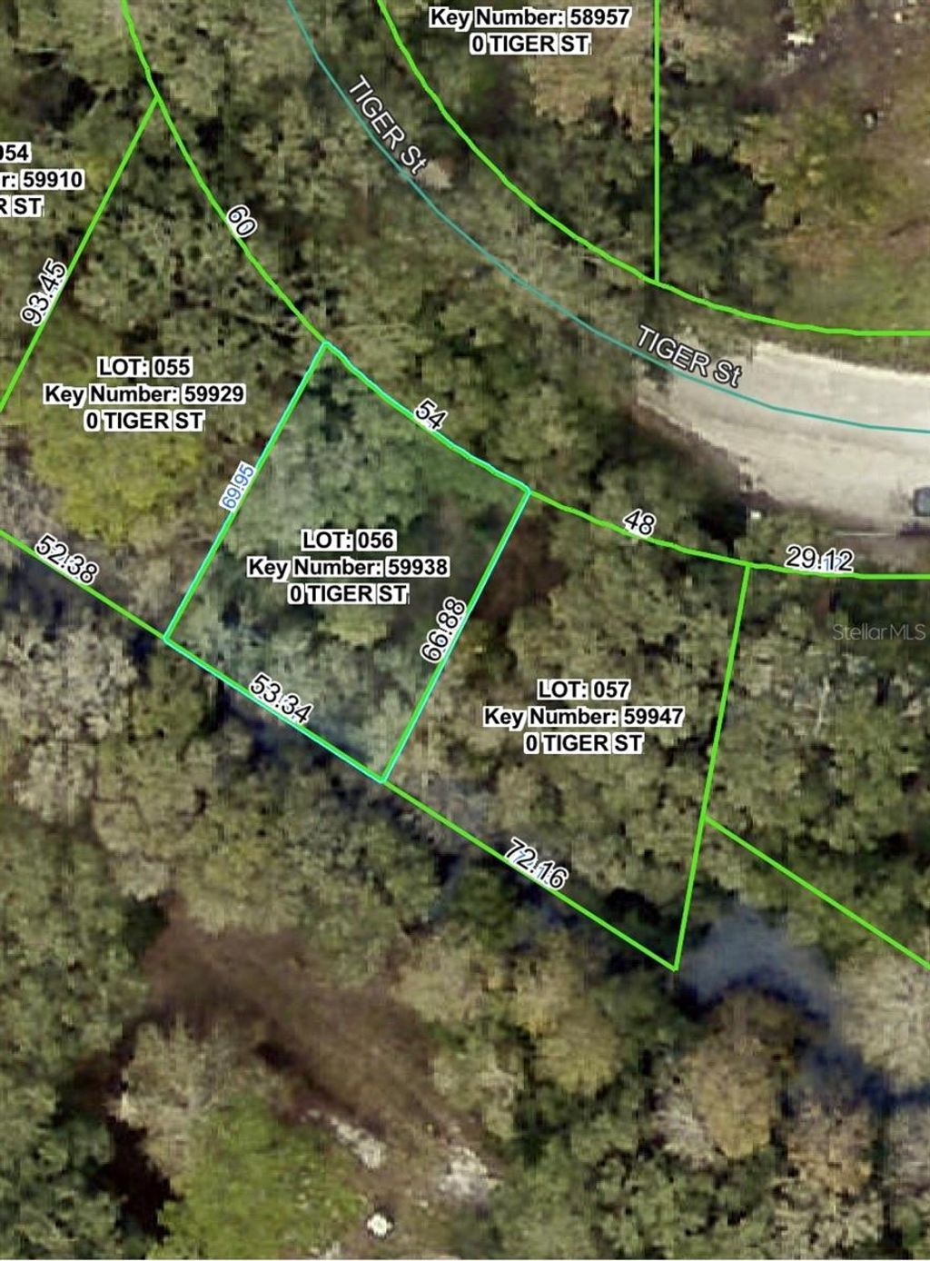 Photo of 3217 Tiger Street, Dade City, FL 33523 (MLS # W7879461)
