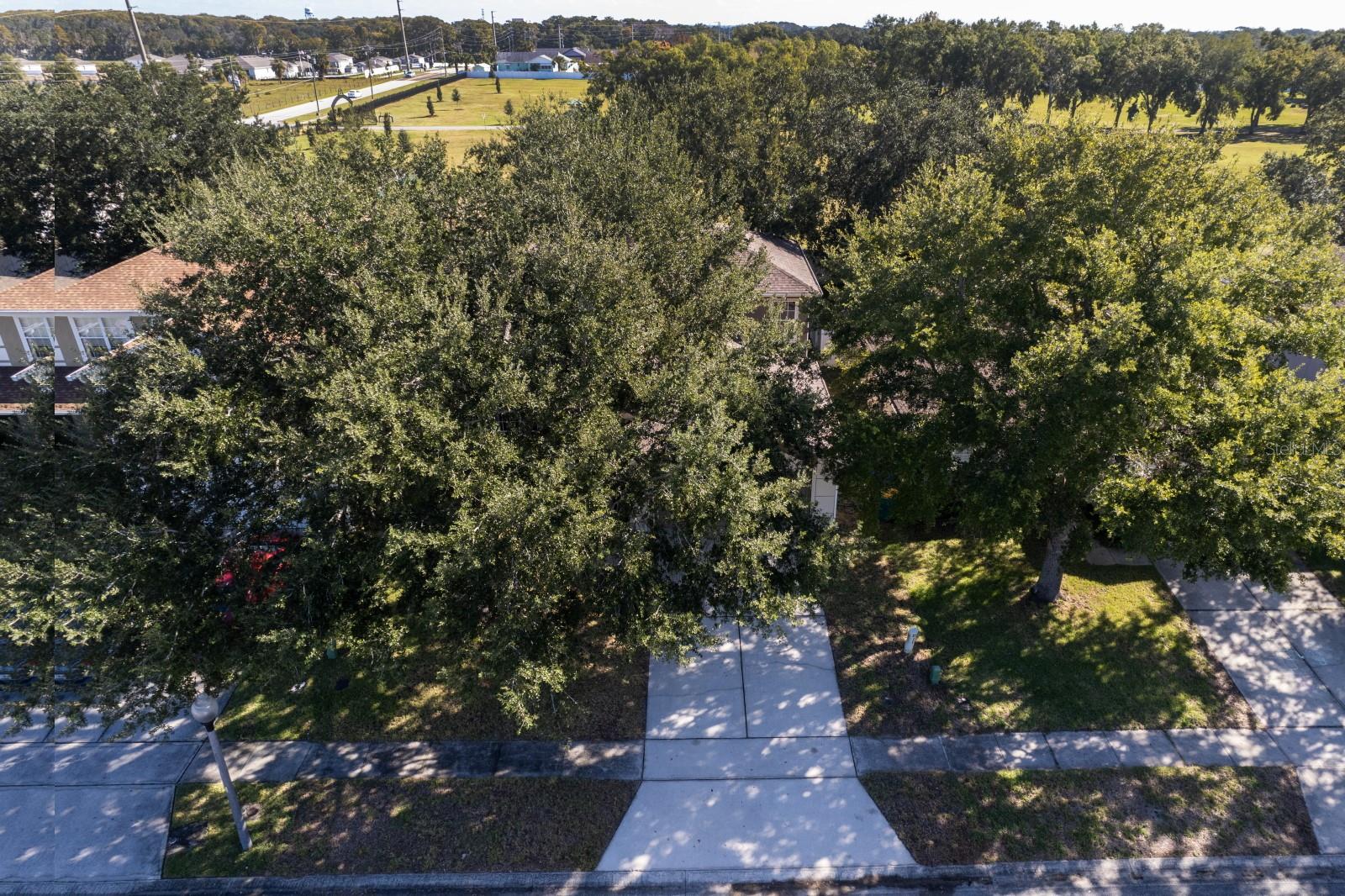 MARTINS GROVE - Residential