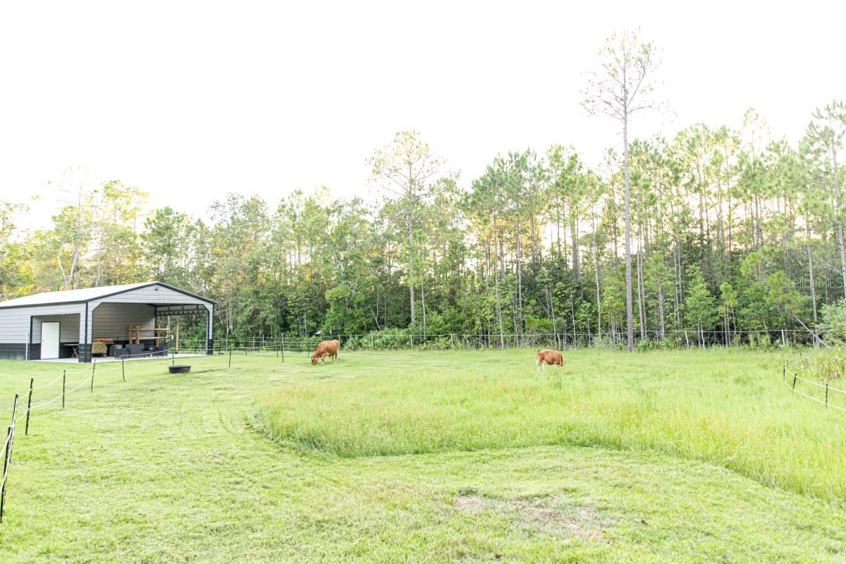 ST JOHNS DEV - Residential