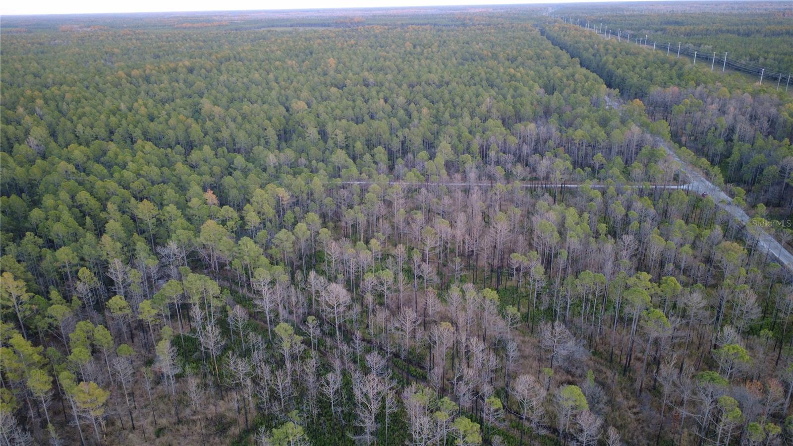 FLAGLER ESTATES UR SUB - Land