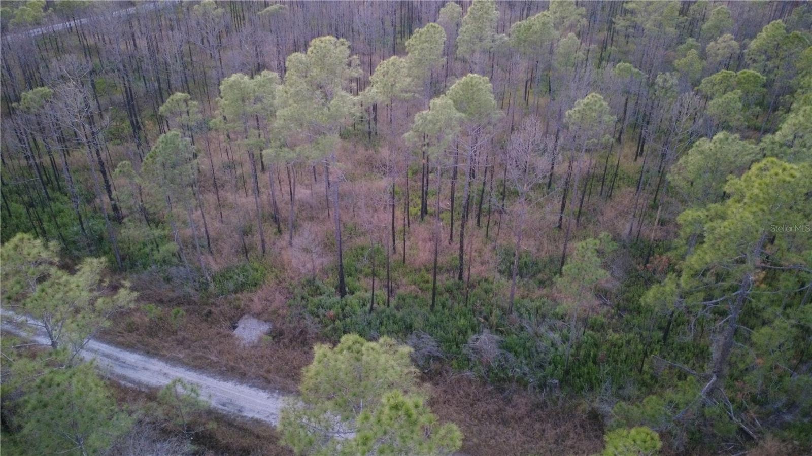 FLAGLER ESTATES UR SUB - Land