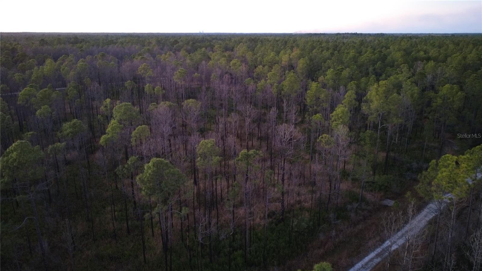 FLAGLER ESTATES UR SUB - Land