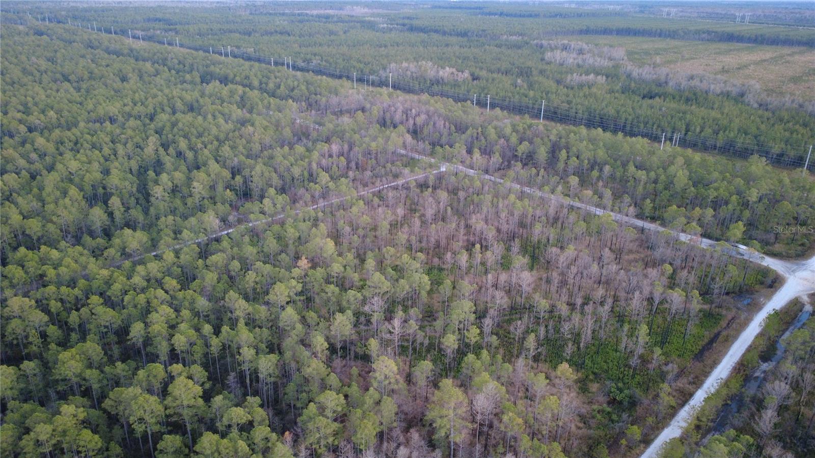 FLAGLER ESTATES UR SUB - Land