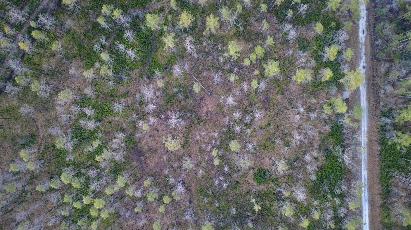 FLAGLER ESTATES UR SUB - Land