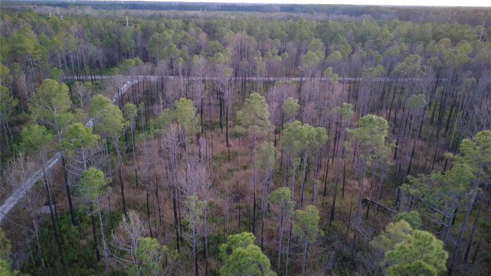 FLAGLER ESTATES UR SUB - Land