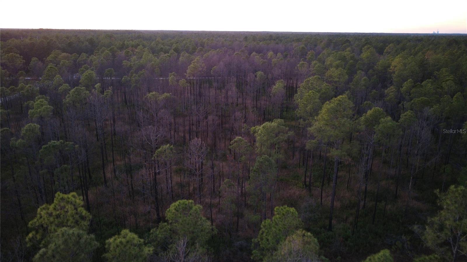 FLAGLER ESTATES UR SUB - Land