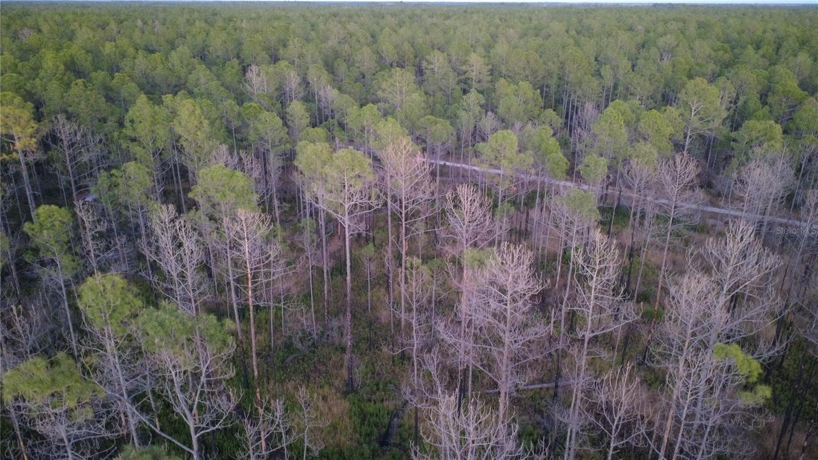 FLAGLER ESTATES UR SUB - Land