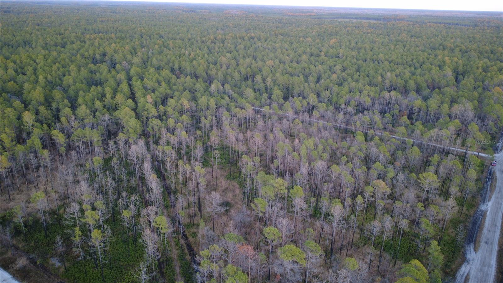 FLAGLER ESTATES UR SUB - Land