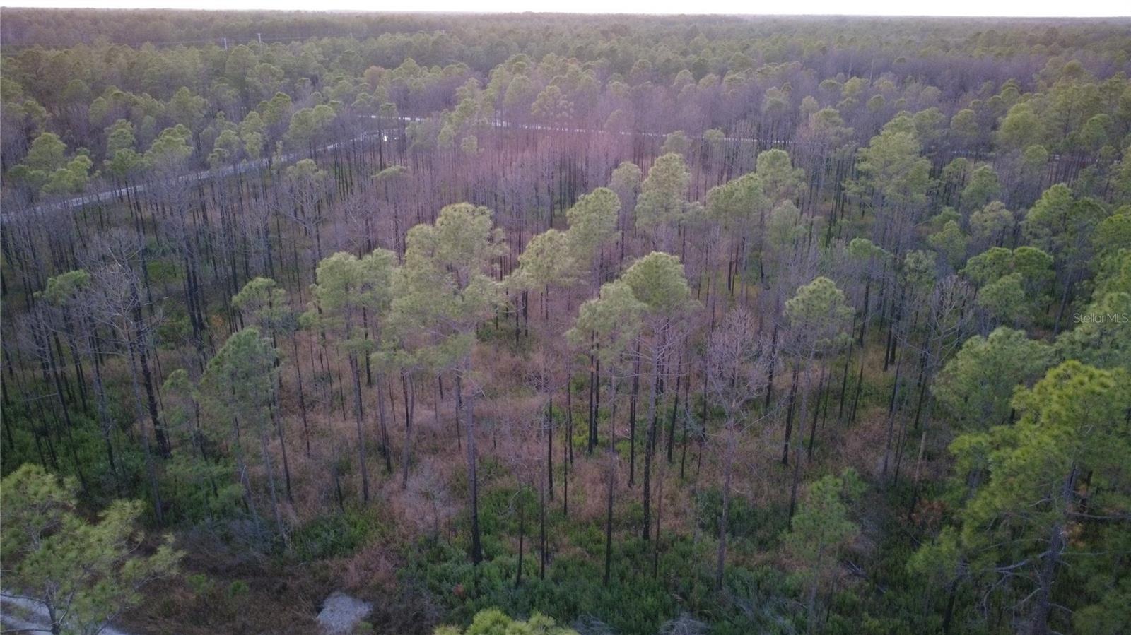 FLAGLER ESTATES UR SUB - Land