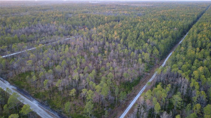 Discover the potential of this spacious 1.25-acre vacant lot on Guzman Ave in Hastings, FL. Perfect for building your custom home, placing a manufactured home, or holding as an investment, this property offers plenty of room for privacy, outdoor activities, or future expansion. Enjoy the peace of country living while still being within a reasonable distance to St. Augustine, Palatka, and area conveniences. No HOA—bring your plans and create your own slice of Florida paradise!