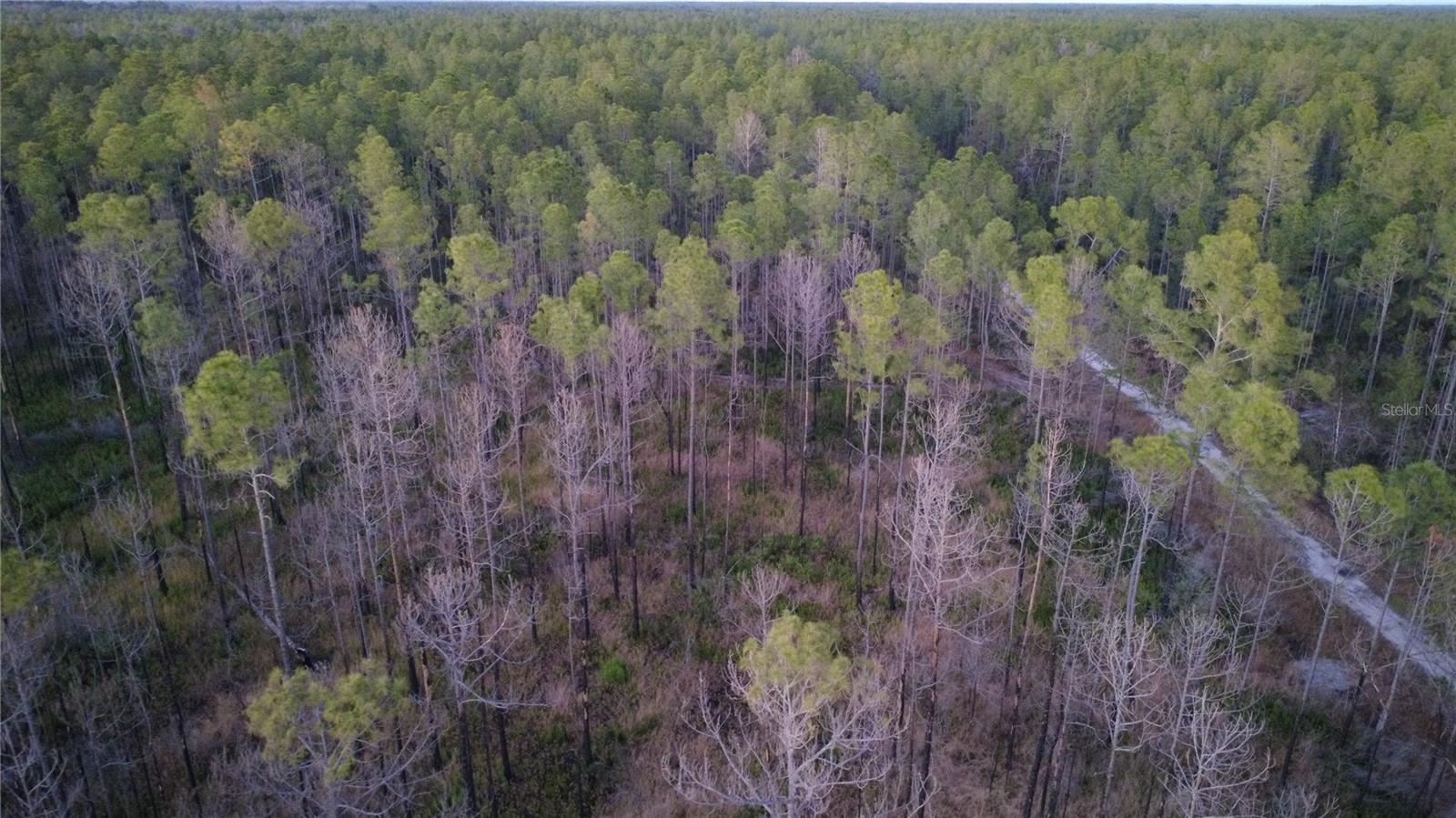 FLAGLER ESTATES UR SUB - Land