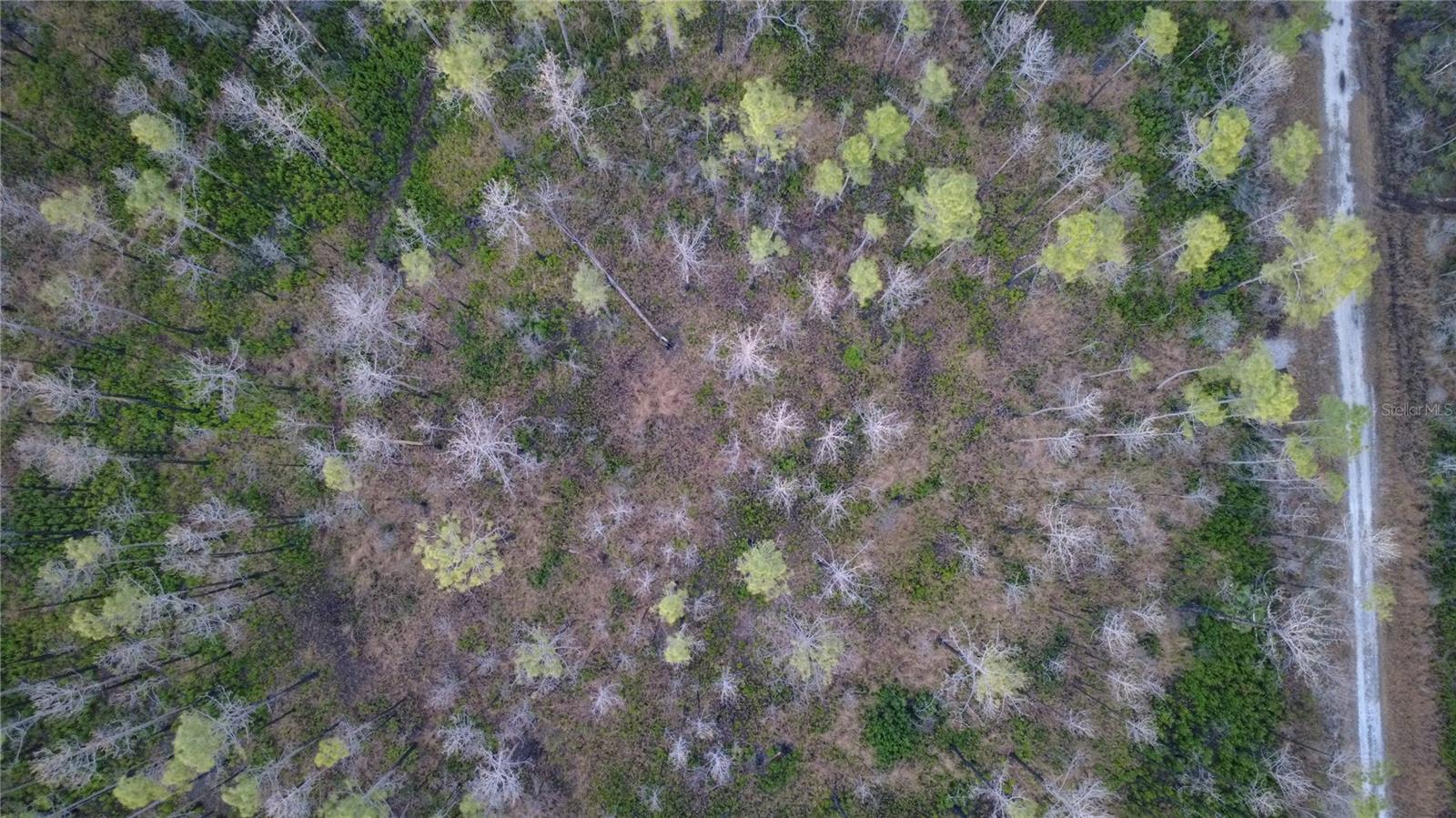 FLAGLER ESTATES UR SUB - Land