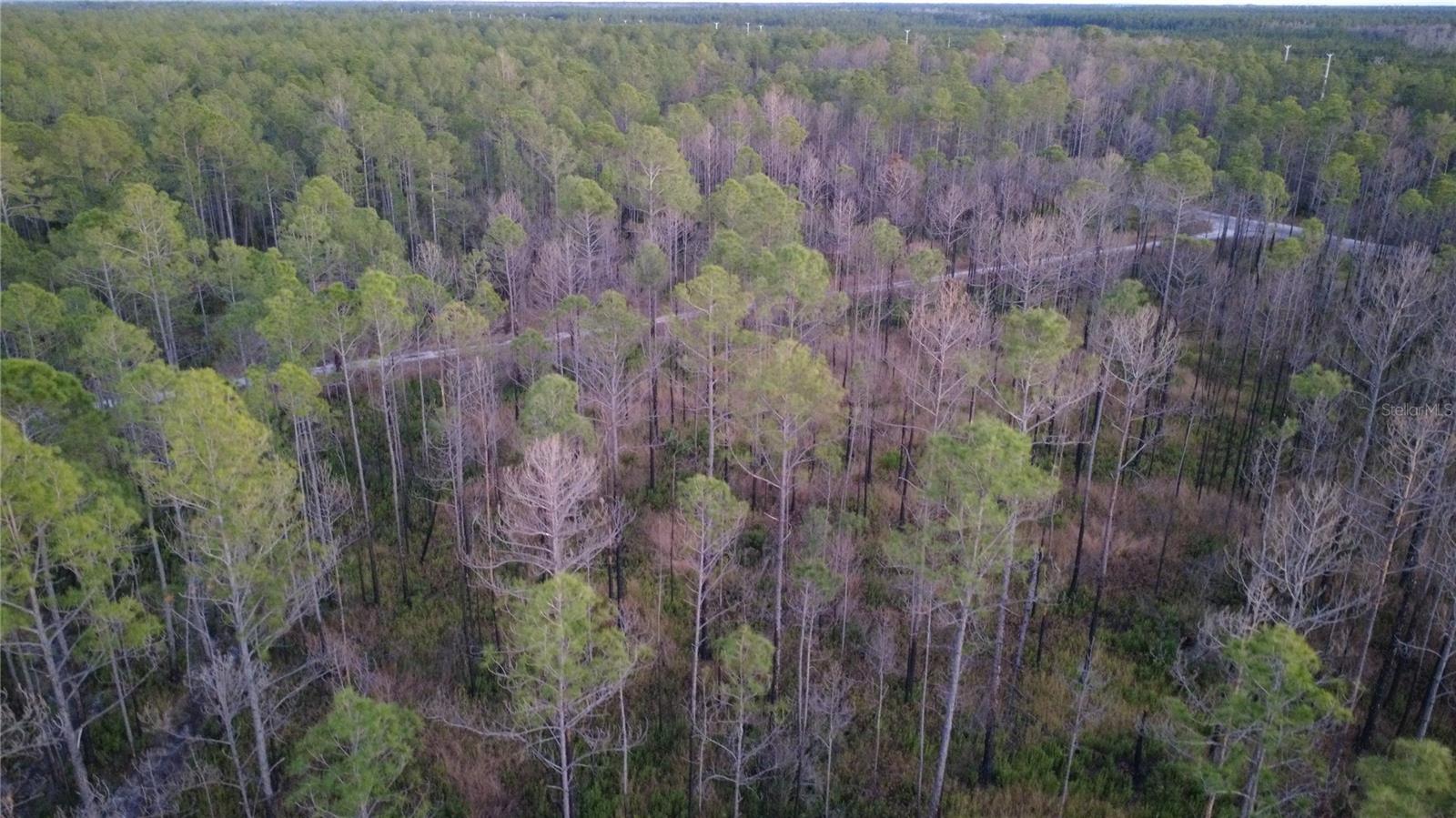 FLAGLER ESTATES UR SUB - Land