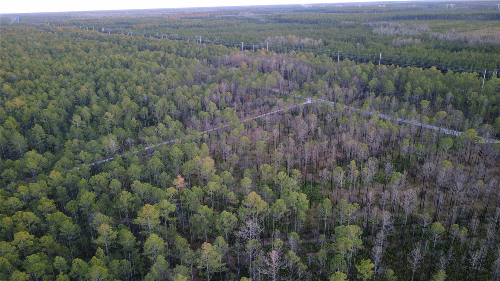 FLAGLER ESTATES UR SUB - Land