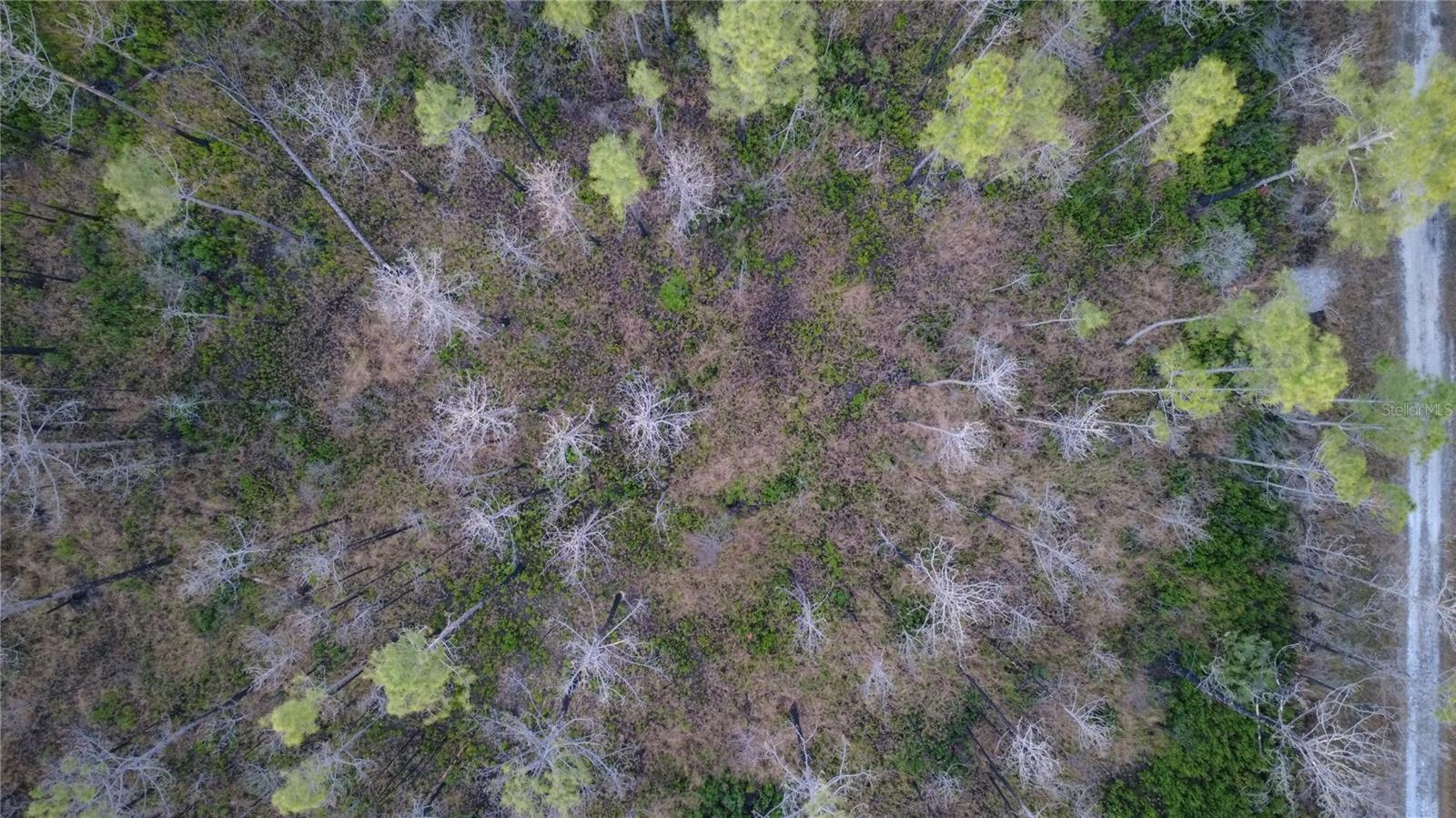 FLAGLER ESTATES UR SUB - Land