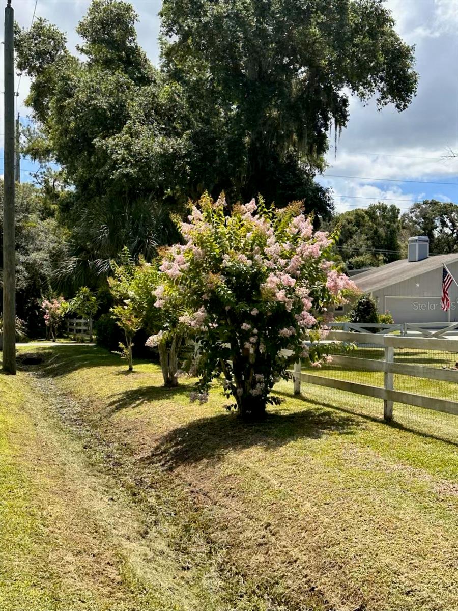 Experience the tranquility of country living right in the heart of Sarasota's esteemed Desoto Acres neighborhood right in the middle of town. This 2.25-acre property is nestled within a bird sanctuary, bordering 10 acres of protected wetlands, offering a serene and private retreat just minutes from urban conveniences.
The well-maintained, naturally landscaped grounds provide ample space and seclusion, perfect for those seeking versatility and room to grow. Located just 5 miles from University Town Center (UTC), 4 miles from Downtown Sarasota, and 8 miles from the pristine sands of Lido Key and St. Armands Circle, this property strikes the ideal balance between peaceful living and city access.
The charming 3-bedroom, 3-bathroom home features an attached two-and-a-half-car garage, offering generous living and storage spaces. With RE-1 zoning, the possibilities are endless—construct a guest house, workshop, studio, expansive storage facility, or build your dream pool. Enjoy the freedom of no HOA fees, CDDs, or deed restrictions, allowing you to personalize the property to your desires.
Bring your horses, boat, RV, and all your toys—there's more than enough room to make this property uniquely your own. One of the bedrooms is configured as a studio suite with a private entrance and can also serve as a Mother In Law Suite as well as RENTAL. This home has had only 1 owner since 1984!! Opportunities like this are rare; don't miss your chance to own this slice of paradise. Seller is motivated, all reasonable offers will be considered,