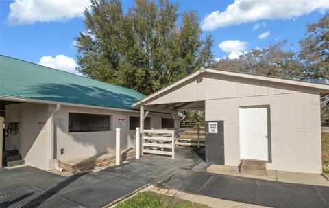 Tiny photo for 16921 SE 19th Court, Summerfield, FL 34491 (MLS # OM693699)