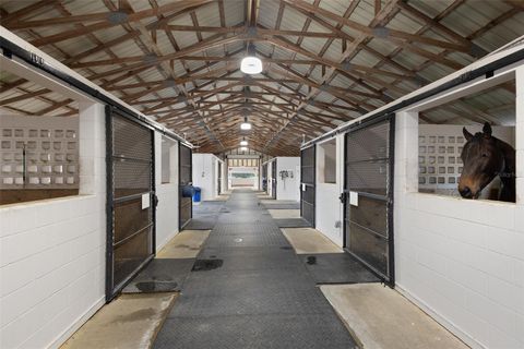 Tiny photo for 16921 SE 19th Court, Summerfield, FL 34491 (MLS # OM693699)