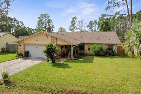 A home in PALM COAST