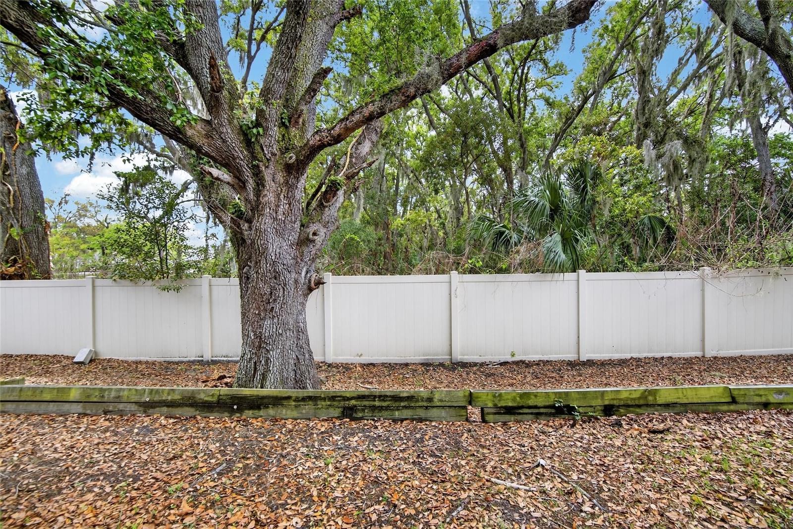 DISTRICT/BLOOMINGDALE - Residential