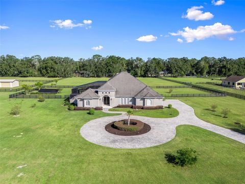 A home in OCALA