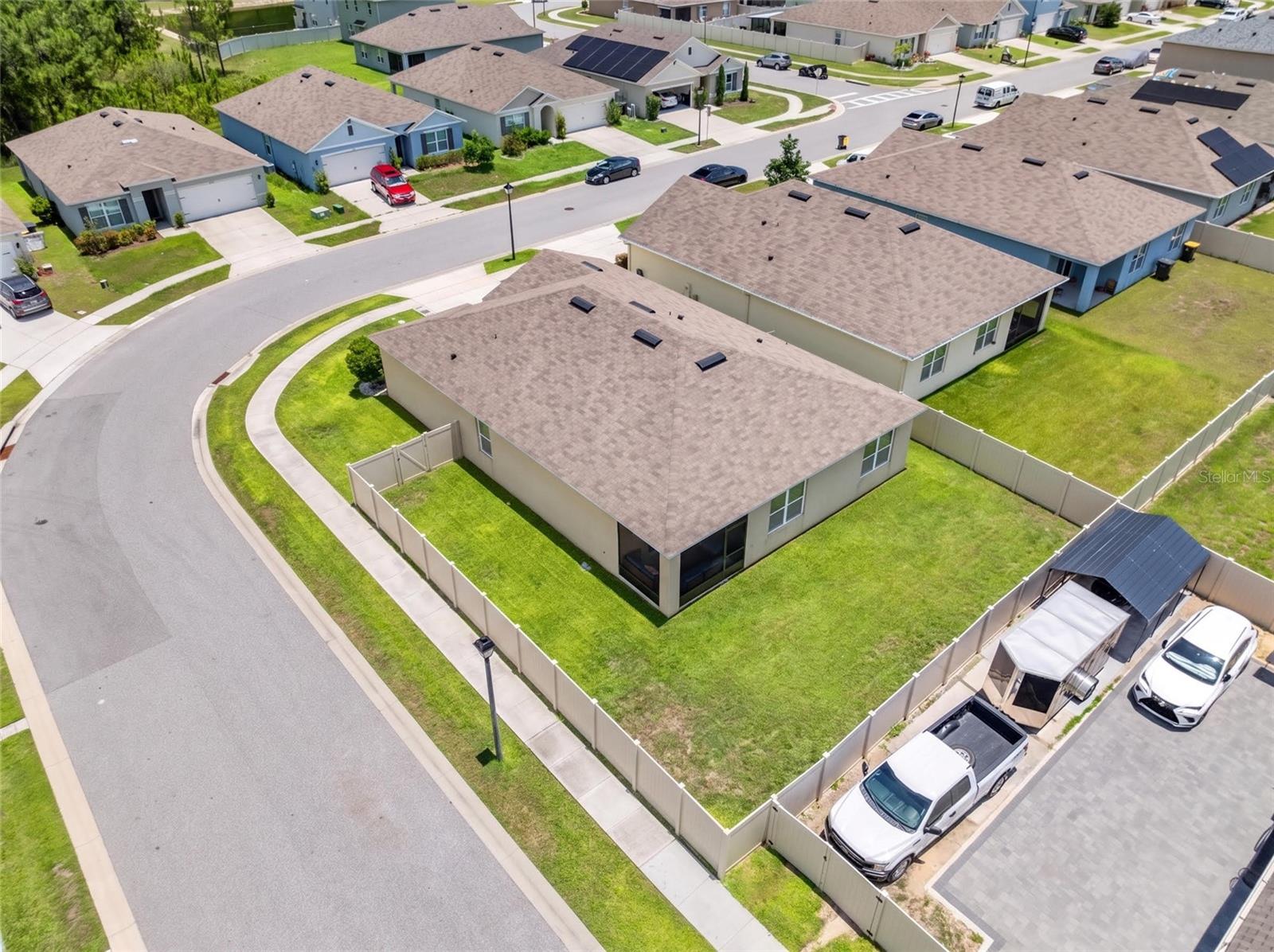 1242 IGUANA LOOP