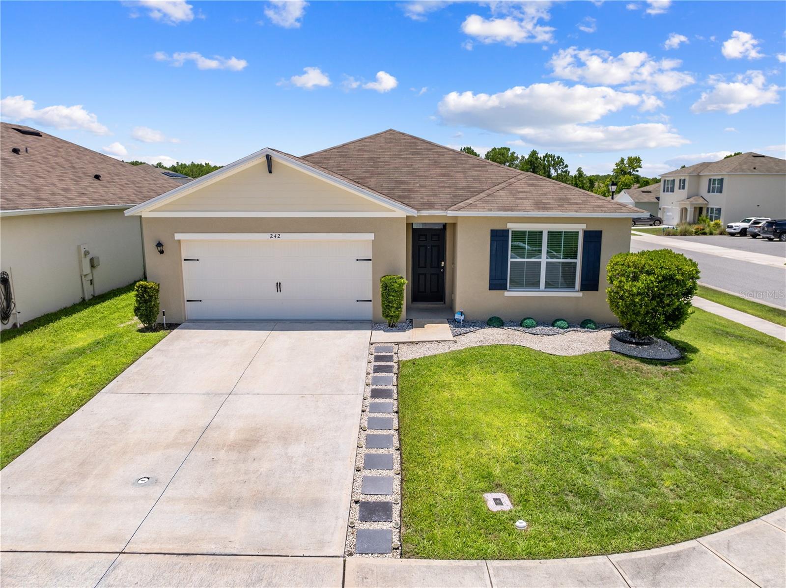 1242 IGUANA LOOP