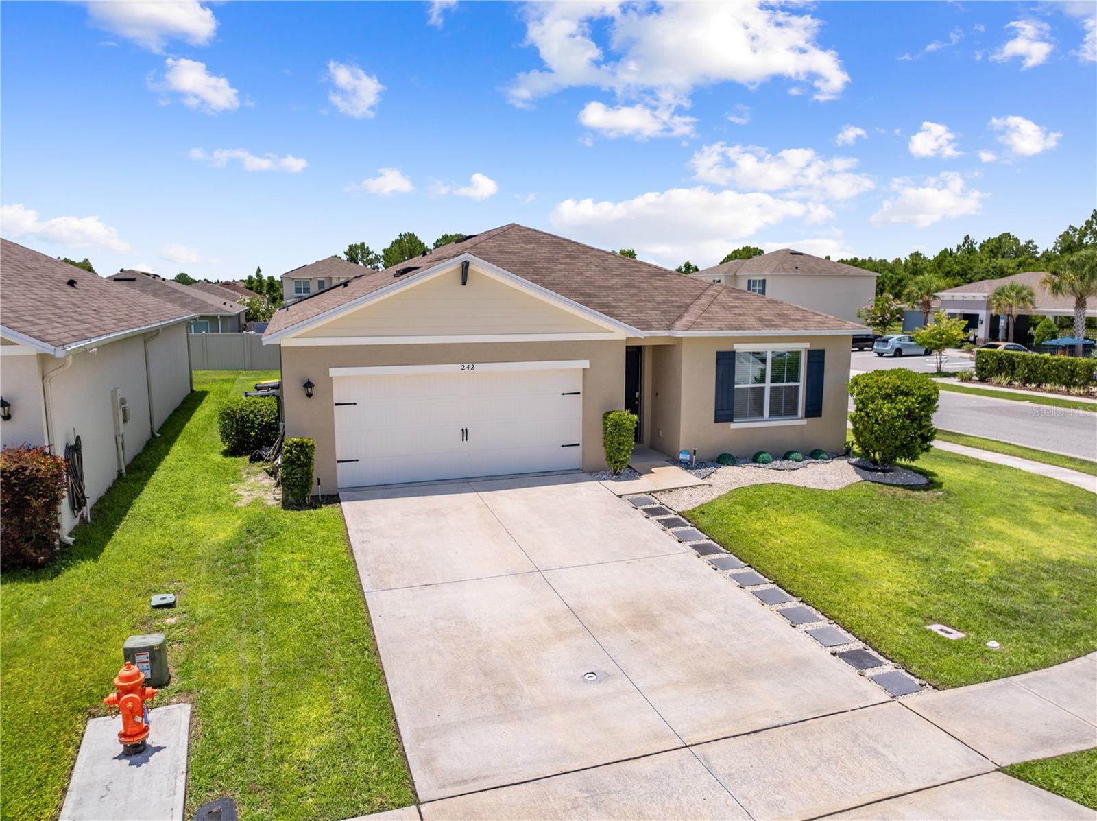 1242 IGUANA LOOP