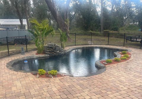 A home in PLANT CITY