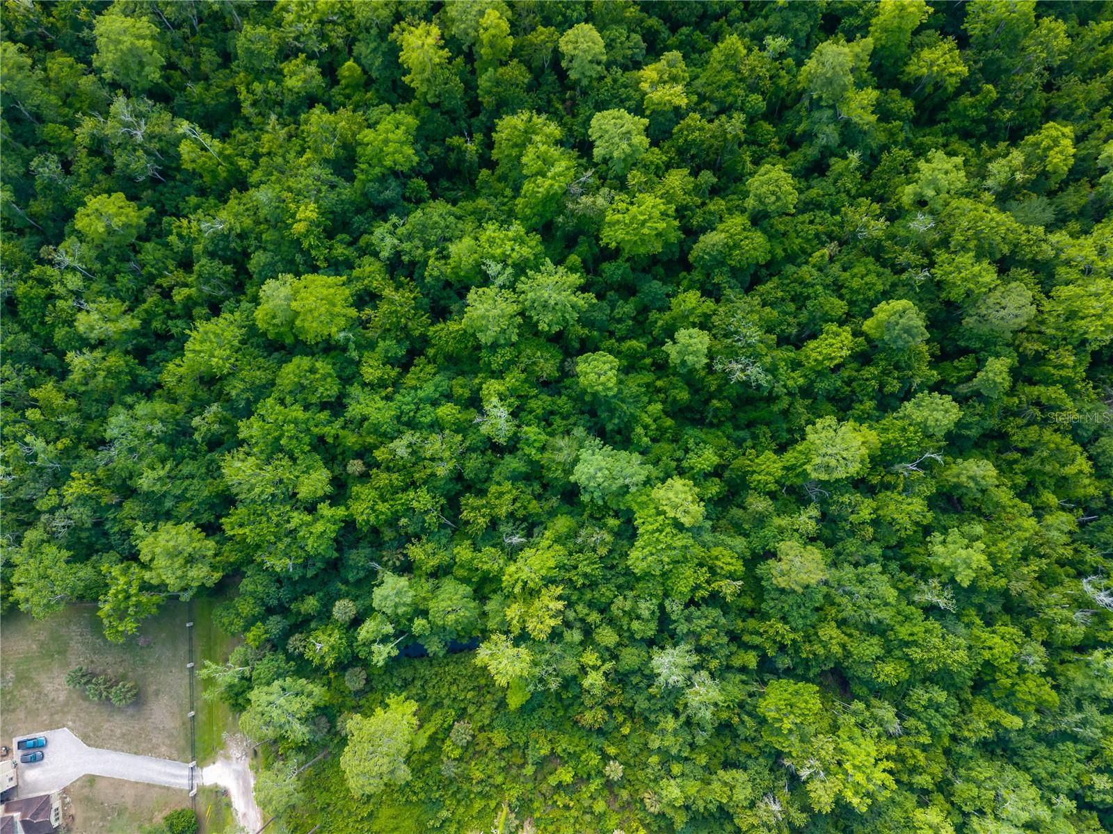 ACREAGE & UNREC - Land