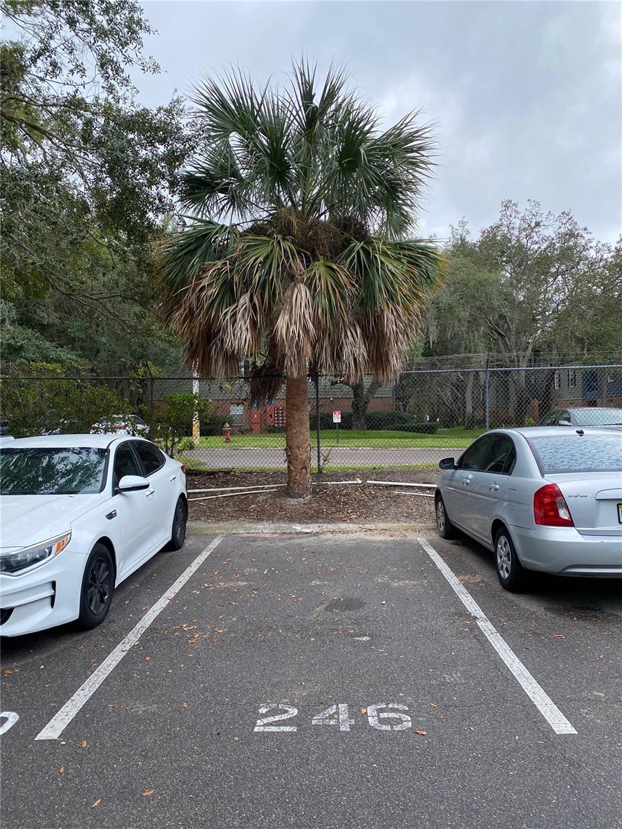 SOMERSET PARK A CONDO - Residential Lease