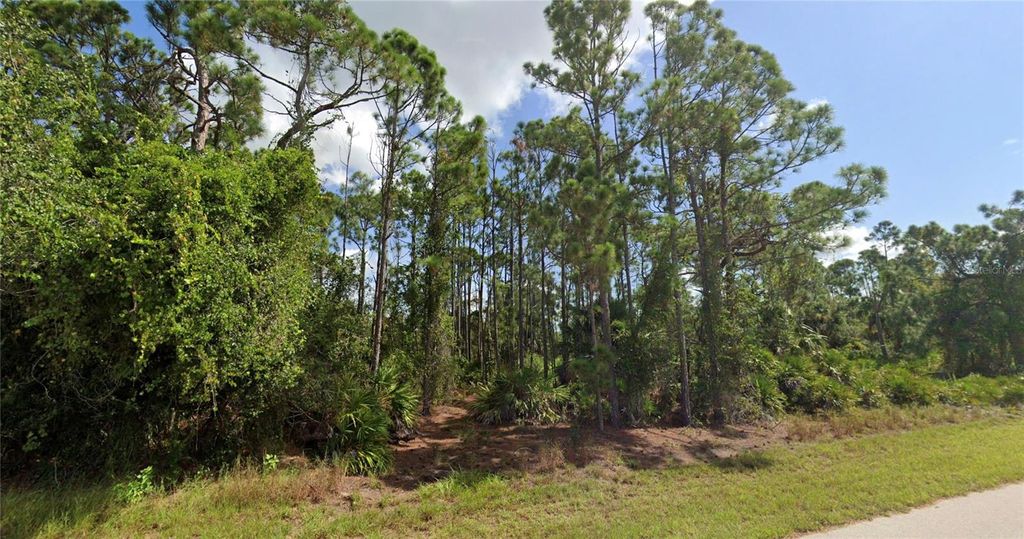 Photo of 27034 Pasadena Drive, Punta Gorda, FL 33955 (MLS # O6305564)