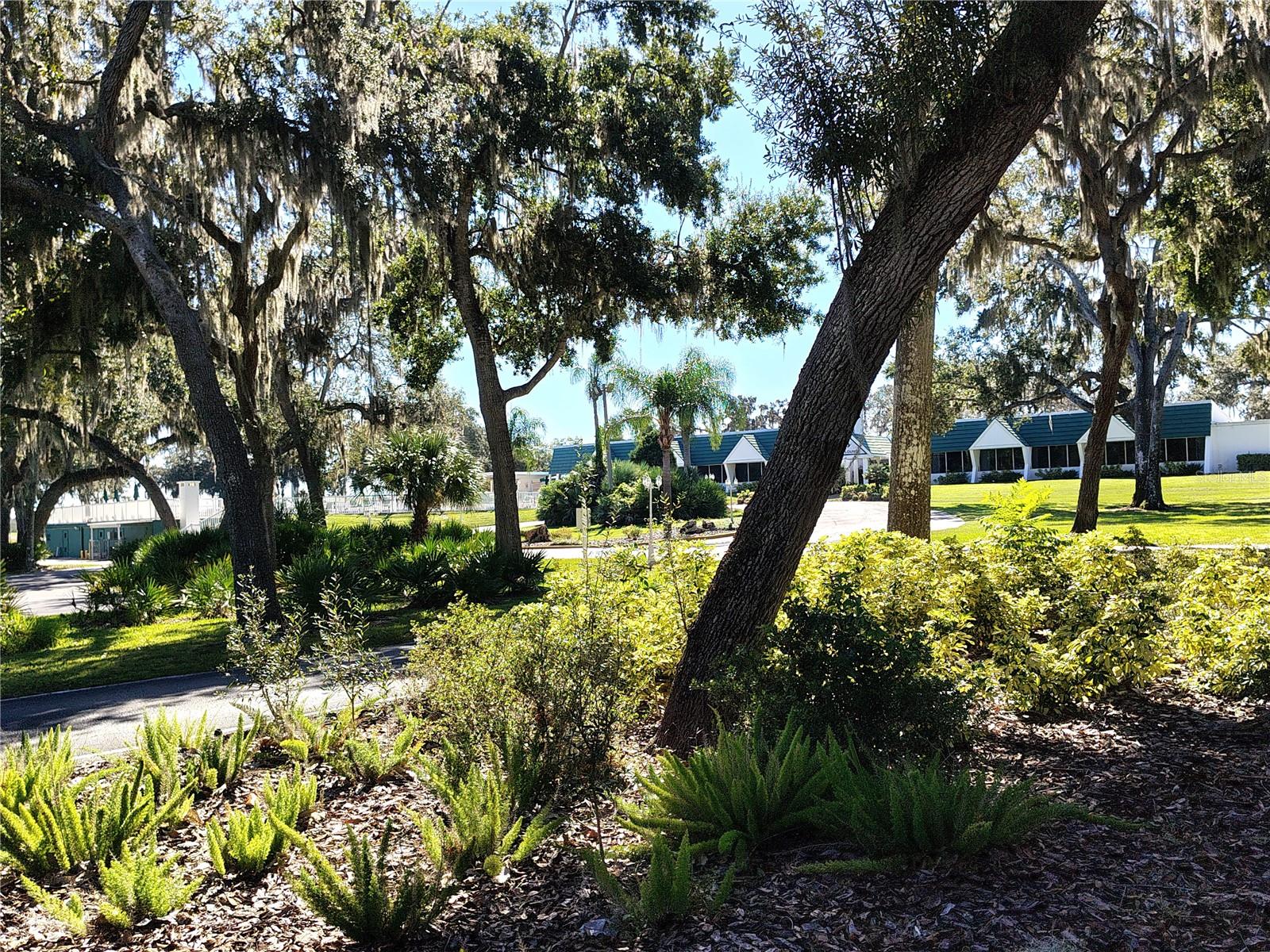 TIMBERWOOD ESTATES - Residential