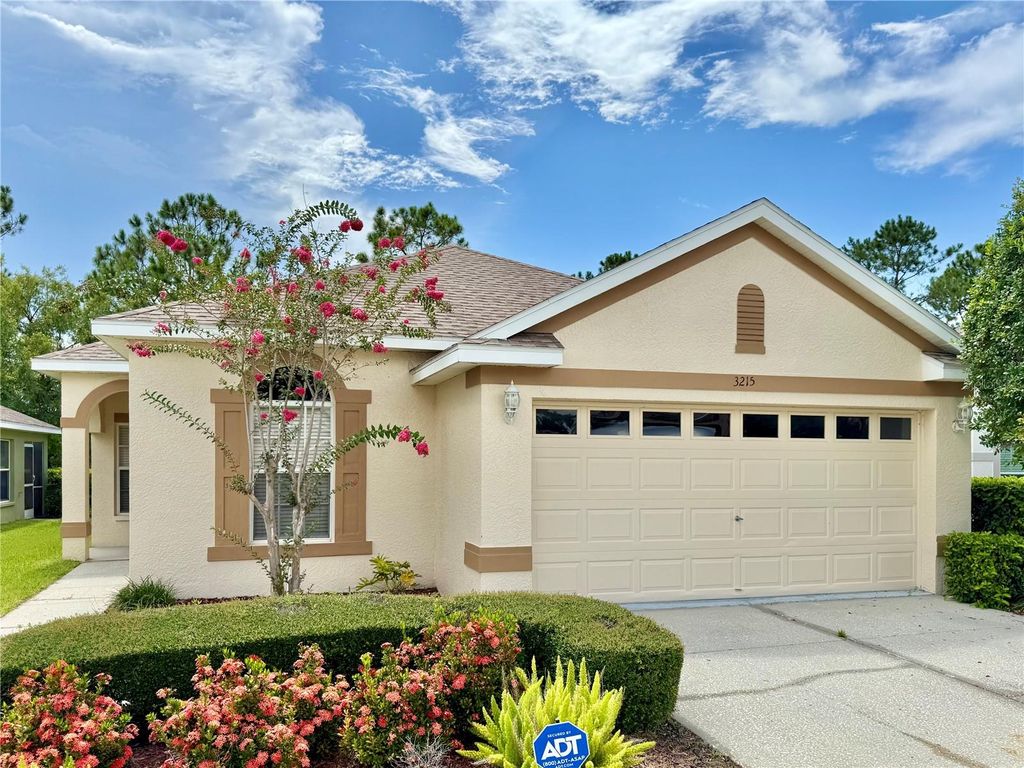 Photo of 3215 Banyan Hill Lane, Land O Lakes, FL 34639 (MLS # TB8362661)