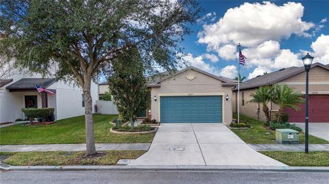 A home in RIVERVIEW