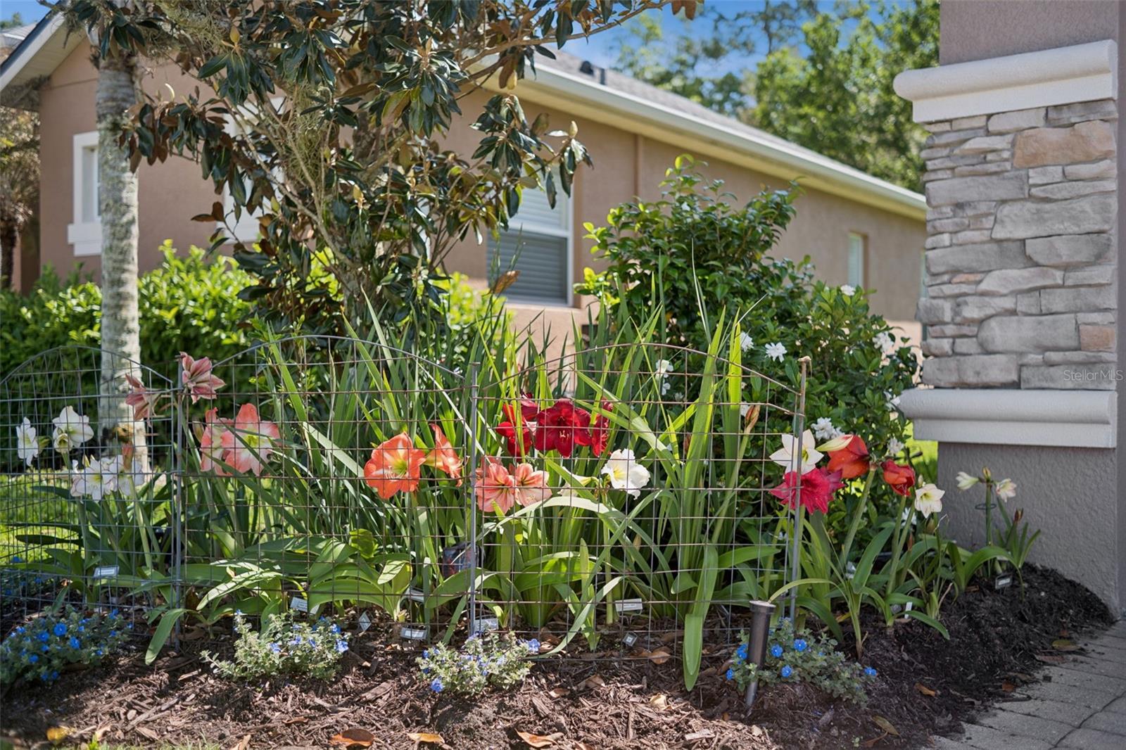 SANCTUARY PH 2 VILLAGES 7 - Residential