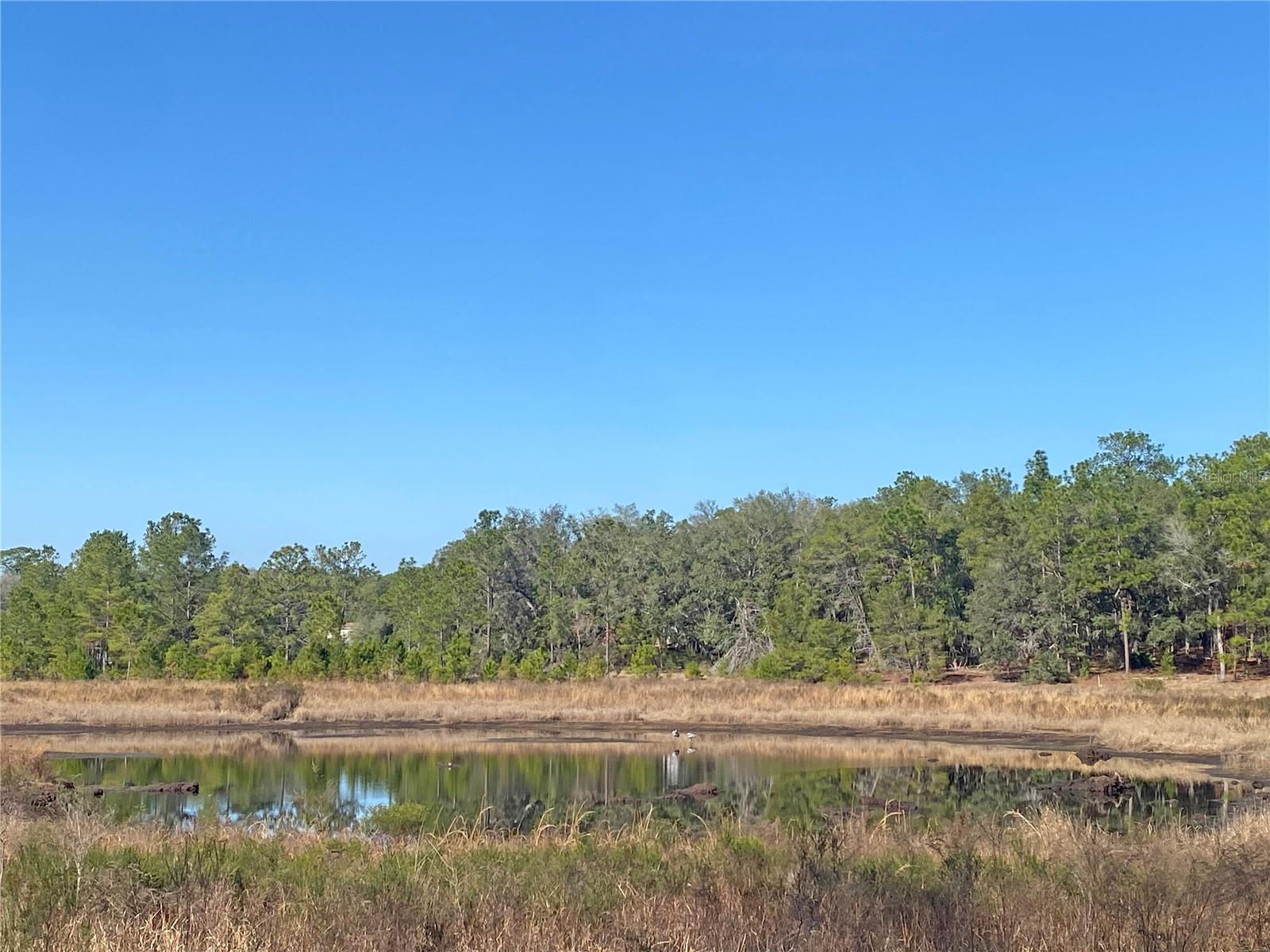 MELROSE LANDING - Residential