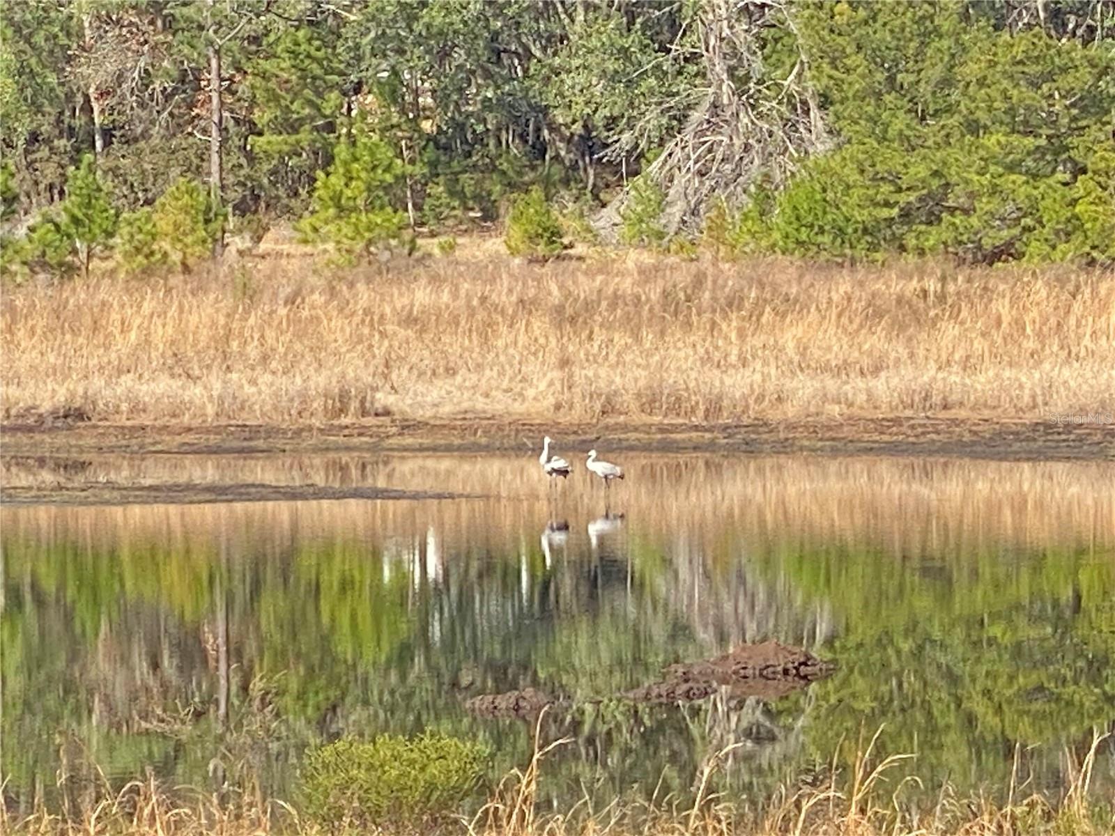 MELROSE LANDING - Residential