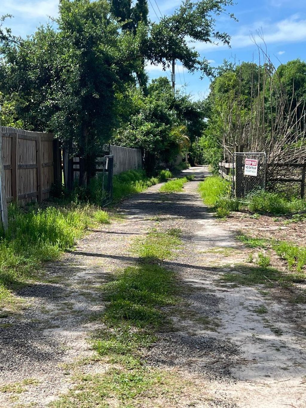 Photo of 15617 Casey Road, Tampa, FL 33624 (MLS # TB8498147)