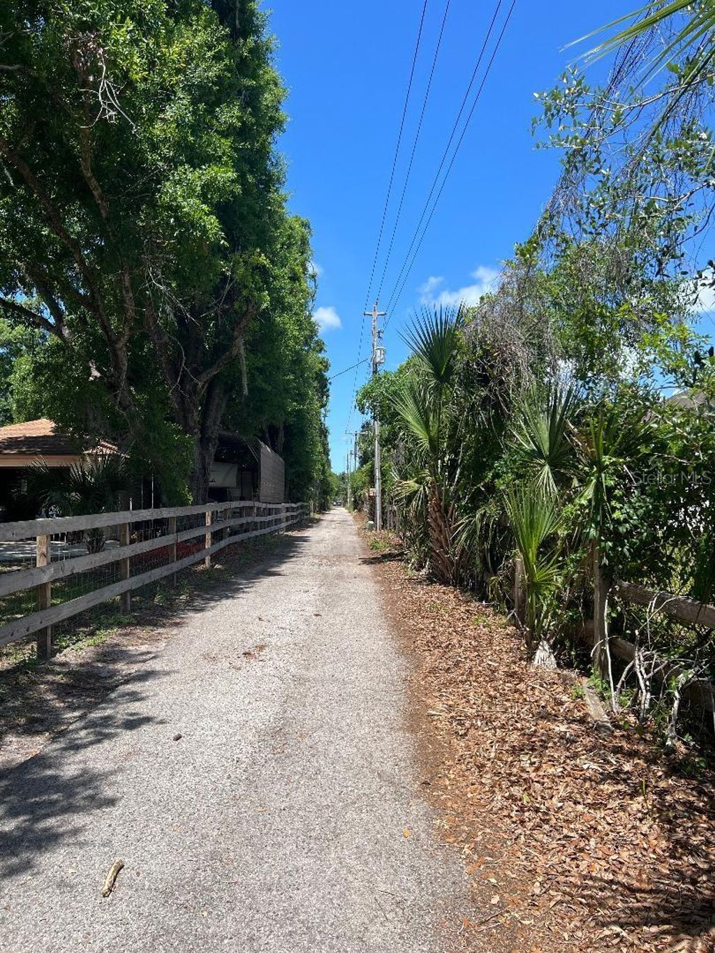 Photo of 15617 Casey Road, Tampa, FL 33624 (MLS # TB8498147)