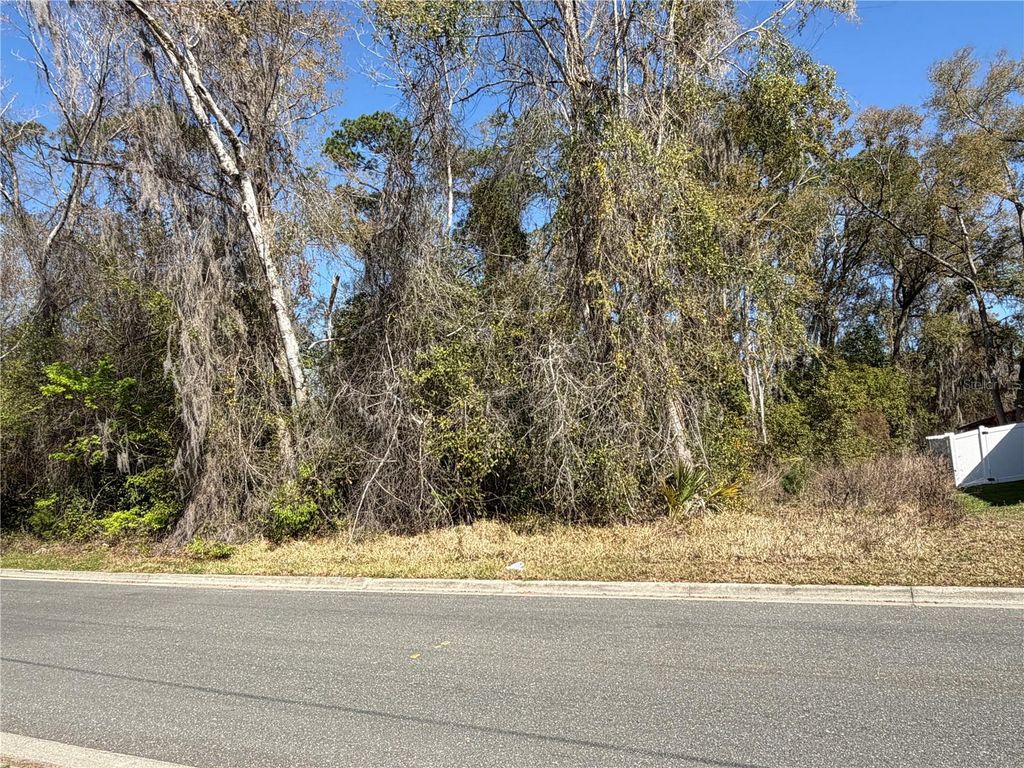 Photo of 1908 NE 7th Avenue, Gainesville, FL 32641 (MLS # GC538460)