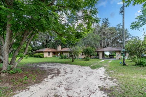 15669 SE 112TH LANE OCKLAWAHA FL 32179