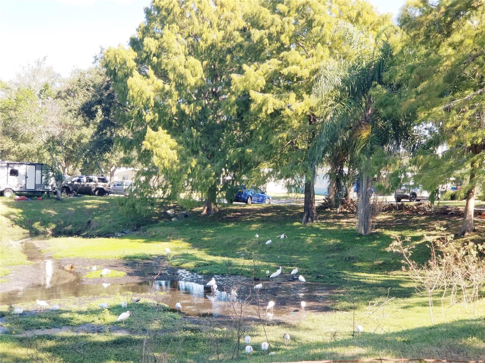 JASMINE HEIGHTS - Residential